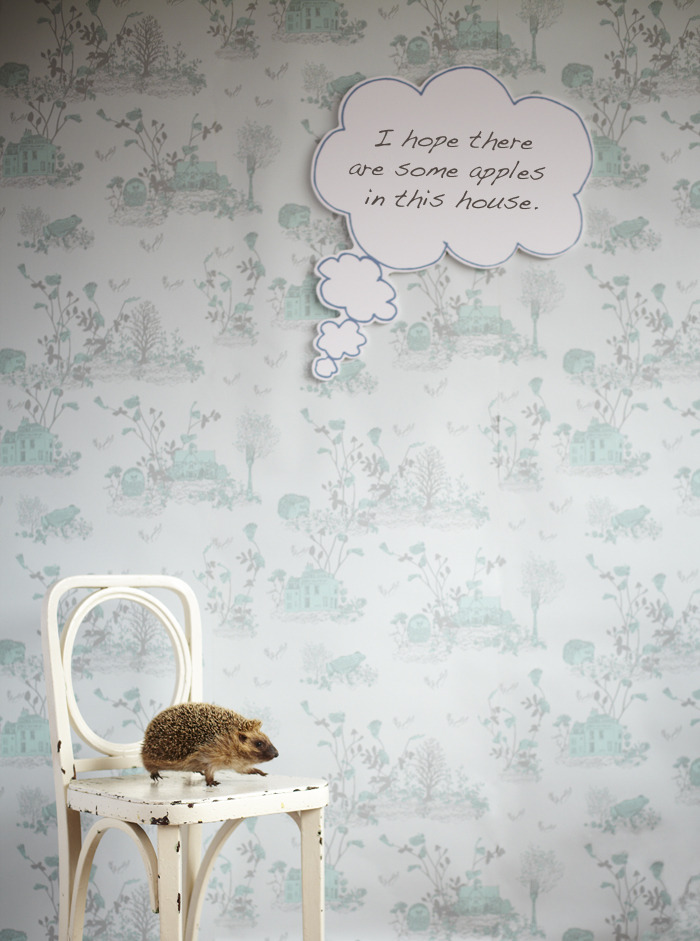 Hedgehog Thought Bubble, Magnetic Woodlands Wallpaper by Sian Zeng